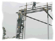 �^���̕��̎ʐ^